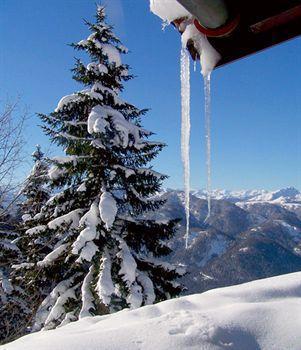 Tiroler Adler -