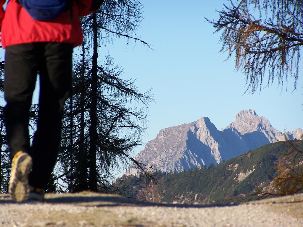 Tiroler Adler -